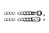 Bead Chains & Couplings